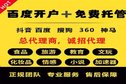 竞价托管sem的胜利果实：某零售商的营销策略